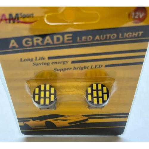 لامپ آریایی 10SMD یخی 12 ولت