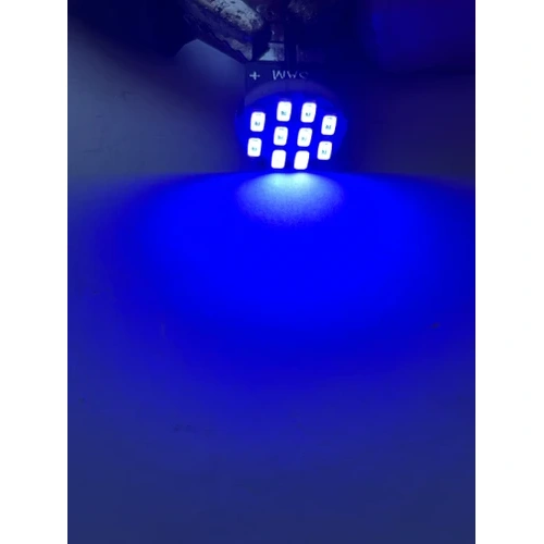 لامپ آریایی 10SMD آبی 12 ولت بسته 2 عددی