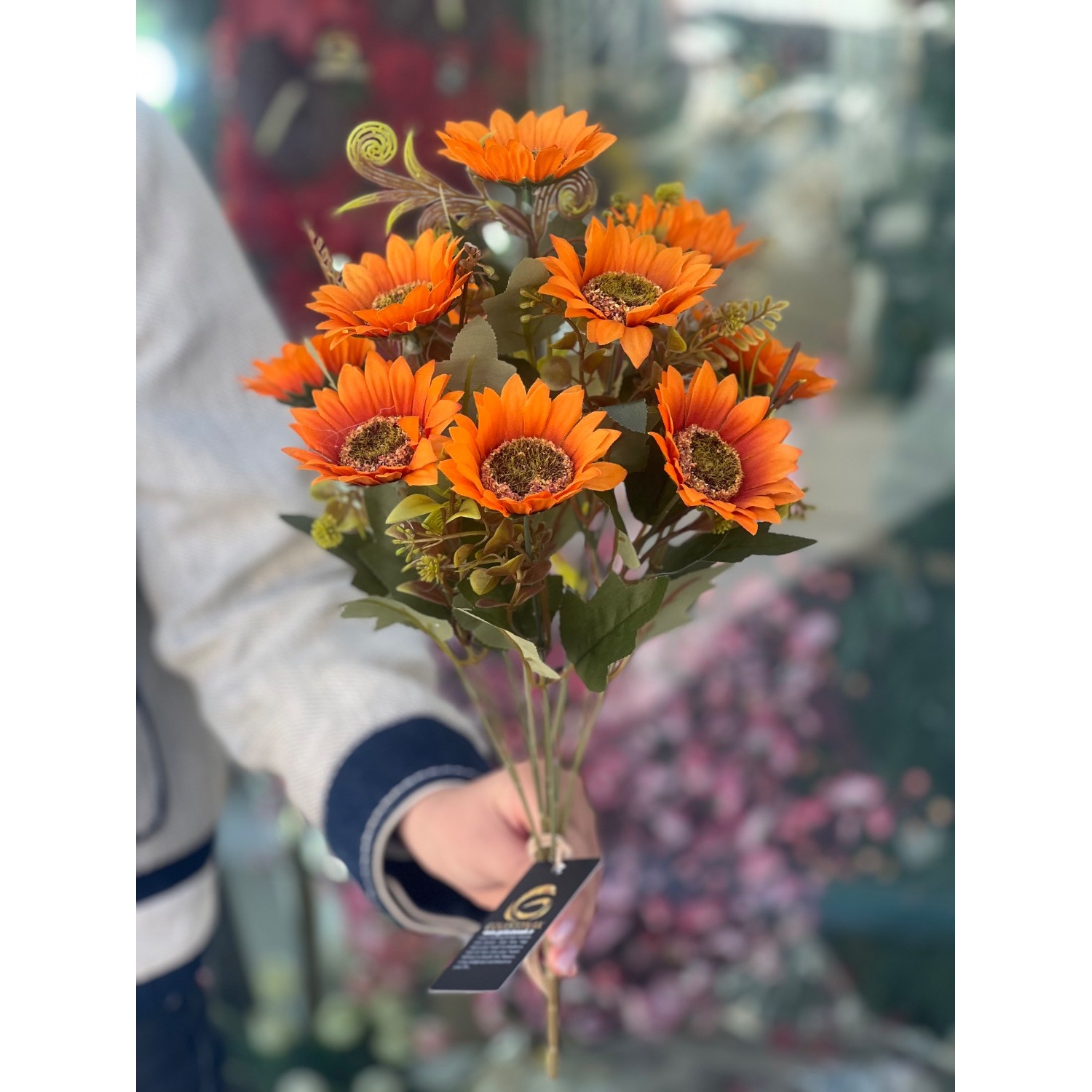بوته آفتابگردون وارداتی نارنجی
