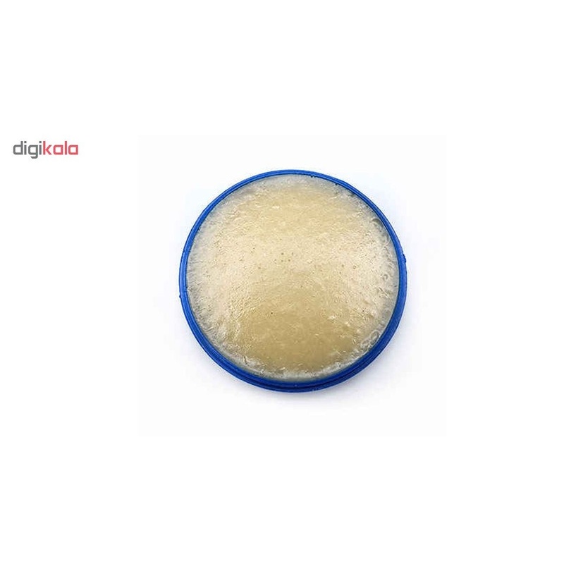 روغن لحیم پیشگام مدل B30 مقدار 30 گرم