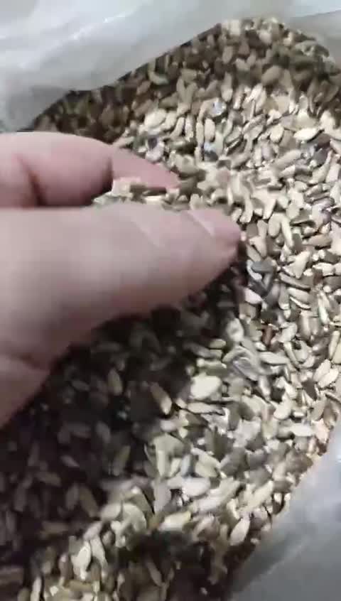 خار مریم ، خارمریم امسالی کبد شور طبیعی ( سهره قناری فنچ مرغ عشق عروس هلندی ) بسته 500 گرمی