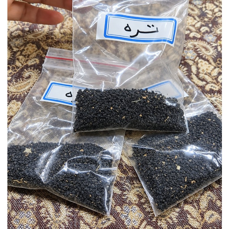 بذر تره (تخم تره)، بسته 10 گرمی 