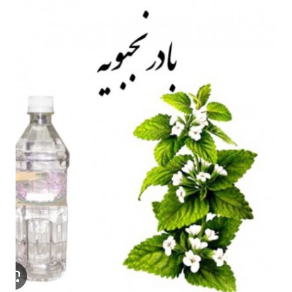 عرق بادرنجبویه