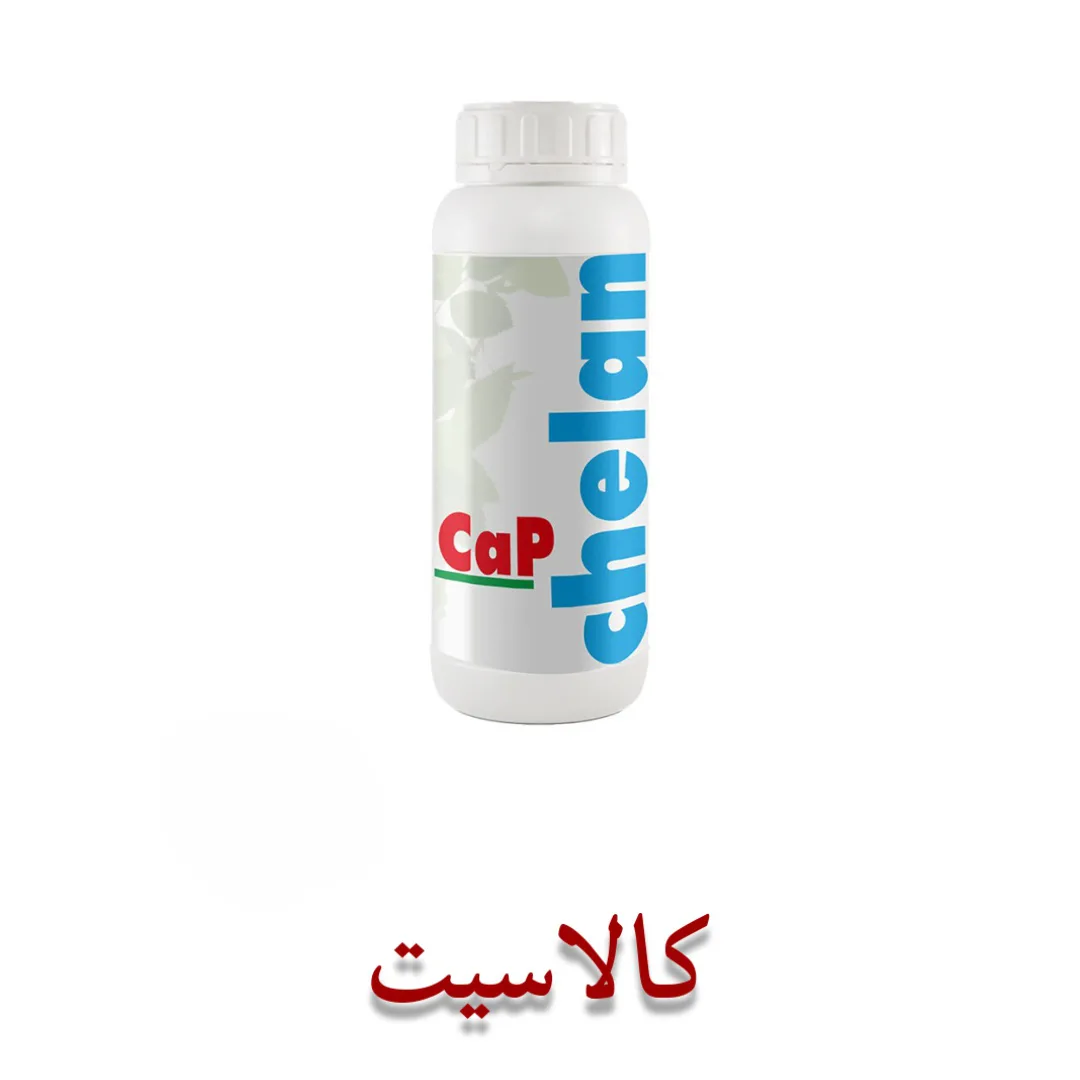 کود مایع کلسیم فسفر کلان کپ Chelan CaP افزایش ماندگاری و ریشهزایی محصول بسته 1 لیتری استعلام بگیرید