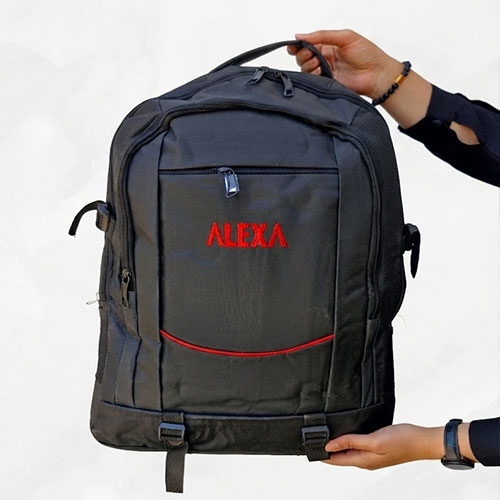 کوله پشتی مارک ALEXA کد 24 (پس کرایه)