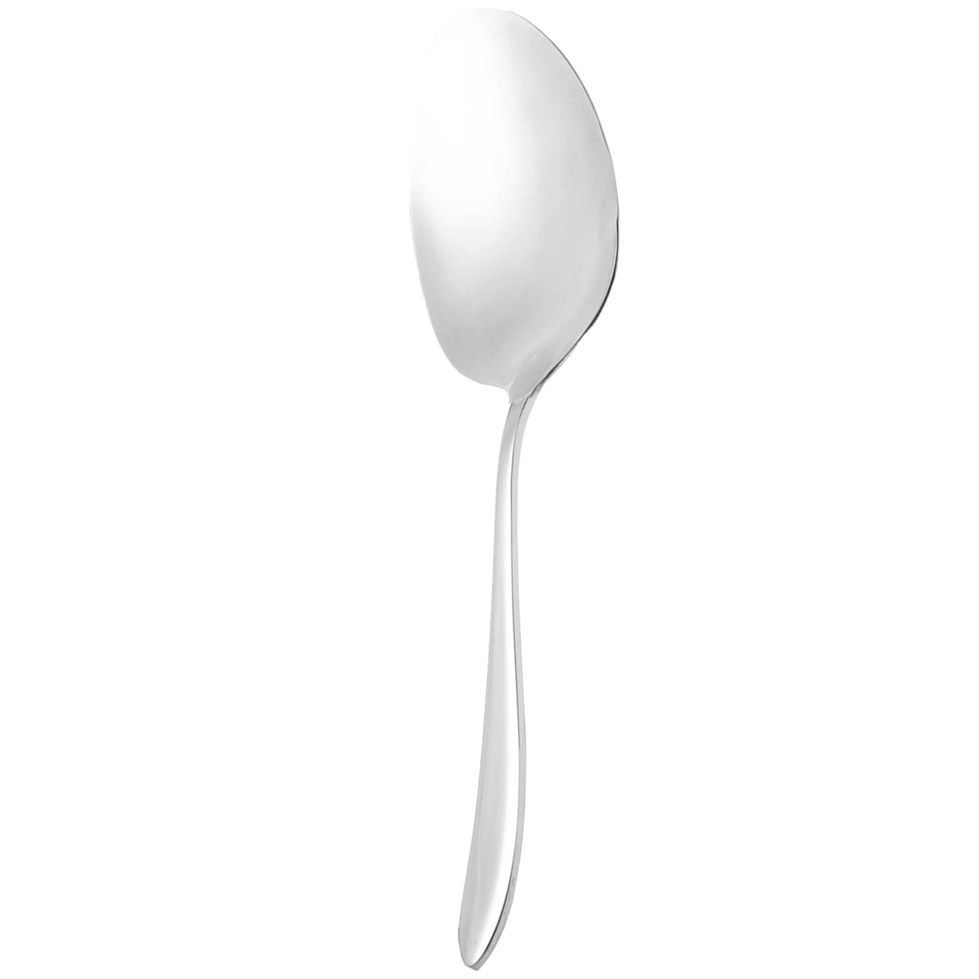 کفگیر بزرگ استیل کد DF050-1 ام جی اس | MGS