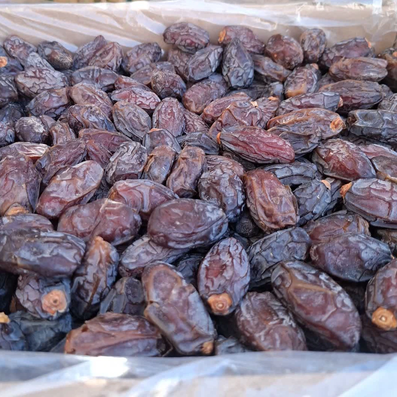 خرمای مجول درجه یک (500 گرمی)