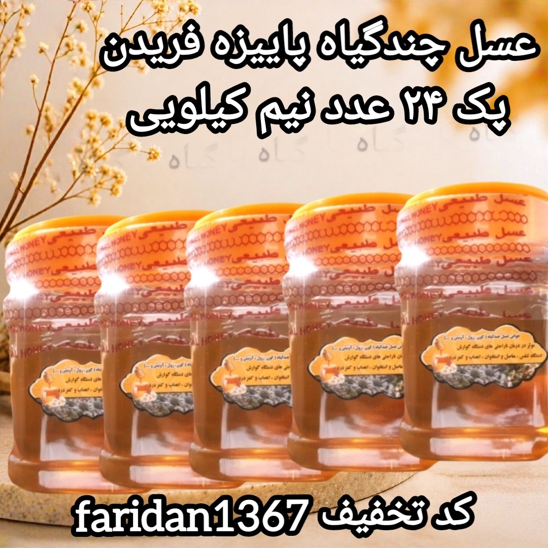 عسل چندگیاه پاییزه 24تا نیم کیلویی دشتی اصل(ارسال رایگان)