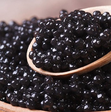 خوراک ماهی خاویارجدید