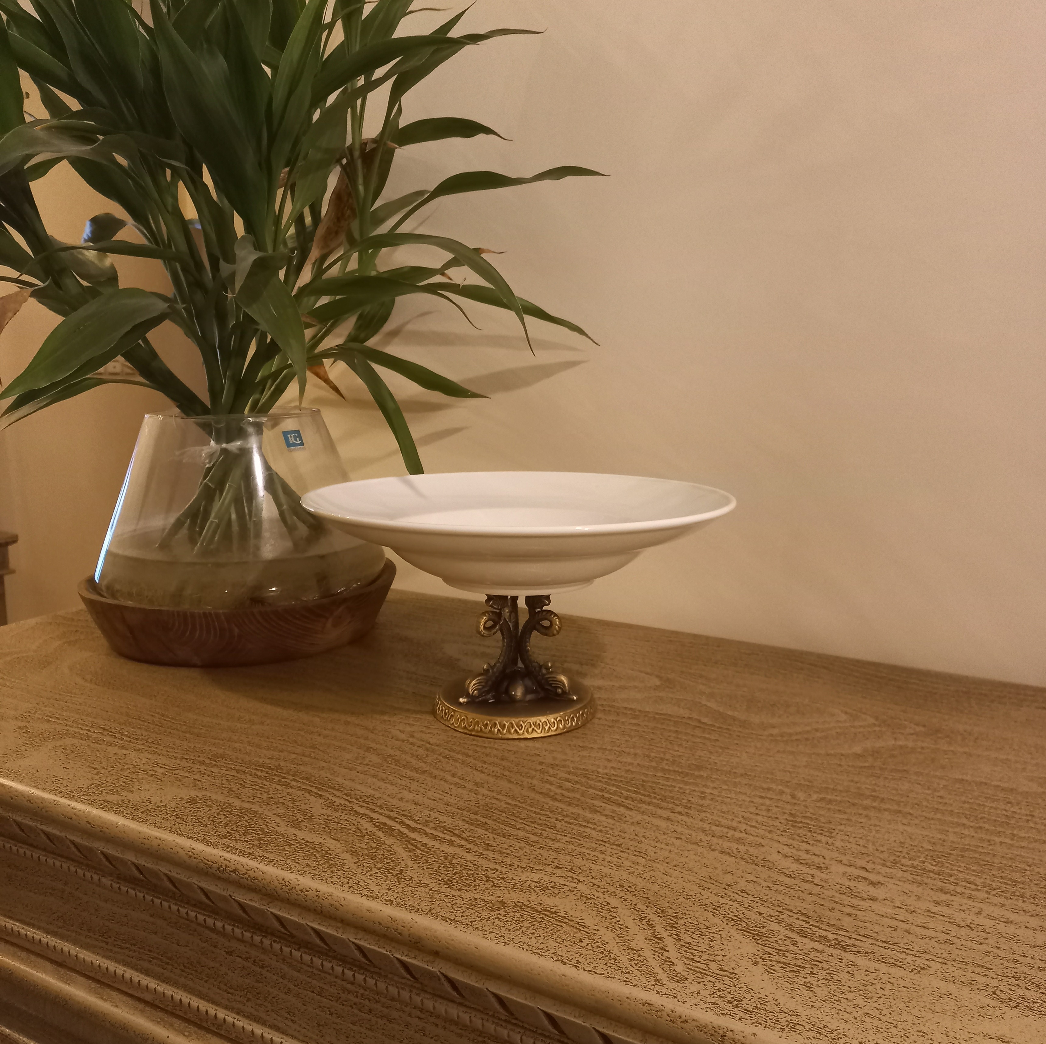 پاستا خوری طرح دلفین