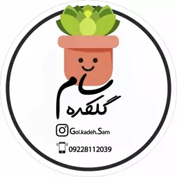 فروش انواع گل و گیاه زینتی 