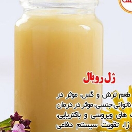 ژل رویال(شاهانه)