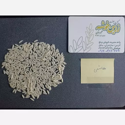 برنج طارم هاشمی زرین خوشه طبرستان 