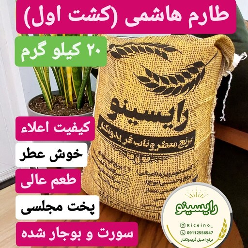 برنج طارم هاشمی اعلا فریدونکنار درجه 1 (20 کیلویی) - ارسال رایگان