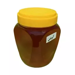 عسل آویشن (500 گرمی)