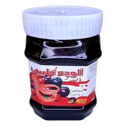 رب آلوچه ژاماسب 450 گرم