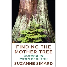 کتاب Finding the Mother Tree اثر Suzanne Simard انتشارات Knopf