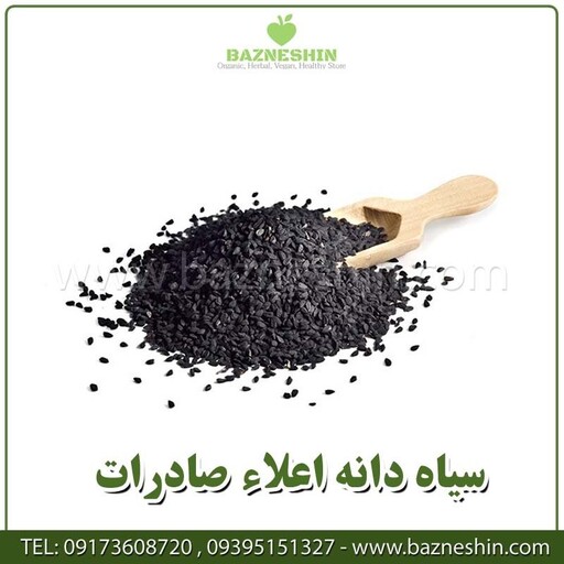 سیاه دانه درجه یک صادراتی -سایز 1کیلویی - بازنشین مارکت