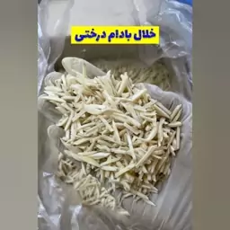 خلال بادام درختی درشت تازه 1کیلویی