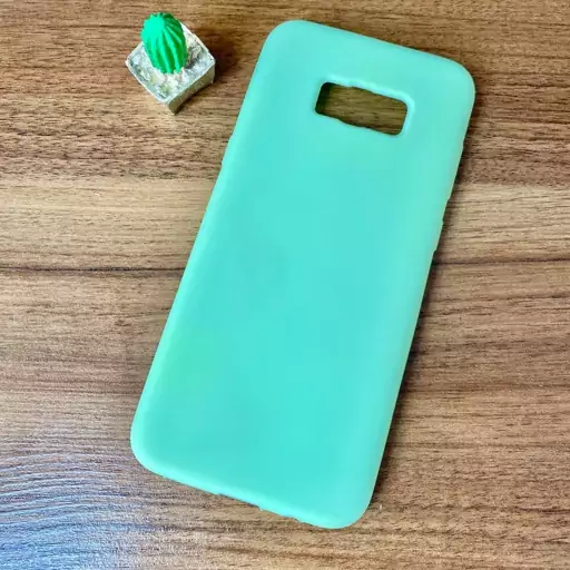 قاب گوشی موبایل سامسونگ S8 پلاس S8 Plus سیلیکونی کاکتوس سبز مغز پسته ای