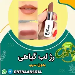 رژلب گیاهی بدون سرب کد m16 دارای رنگ طبیعی انتی باکتریال تهیه شده از کره شیا غرفه جالینوس مشهد