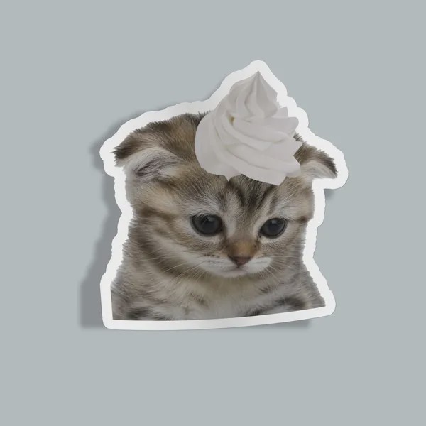 استیکر sad cream head catجدید