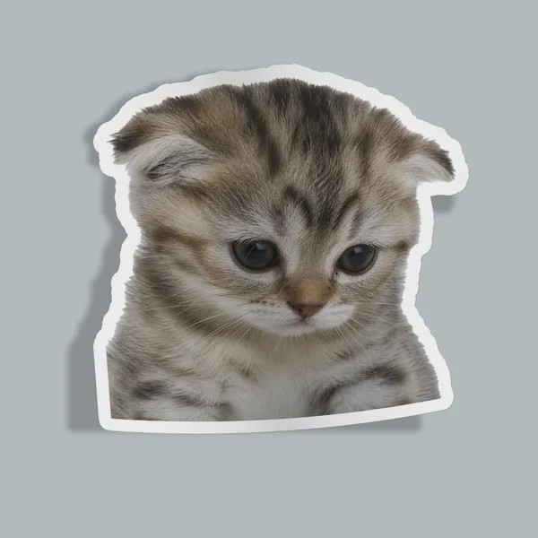 استیکر sad no cream catجدید
