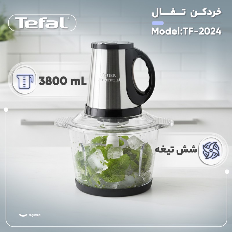 خردکن 3800 میلی لیتر تفال مدل TF-2024جدید