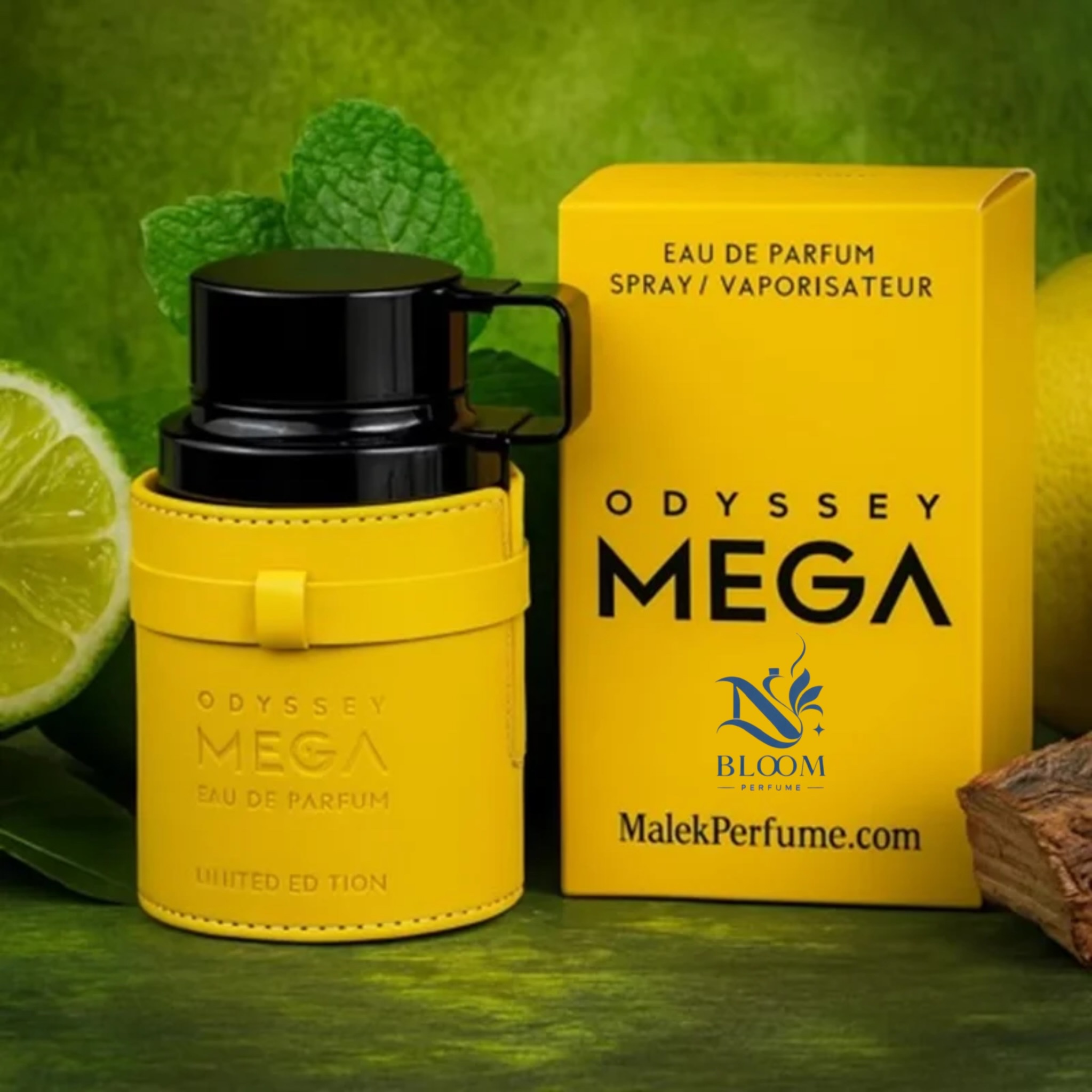 عطر اودیسه مگامن خنک، مرکباتی، دریایی و مردانهجدید