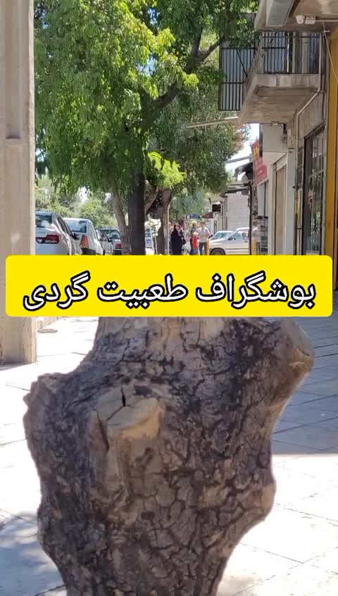 بوشگراف طعبیت گردی آفرود کوهنوردی جنس تیغه فولاد ck60 دسته فیبر آلمانی کار دست صنعتگران زنجانی