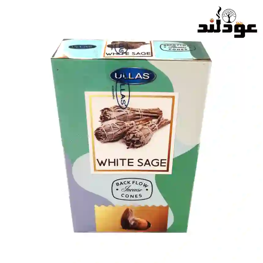 عود آبشاری معطر مدل WHITE SAGE