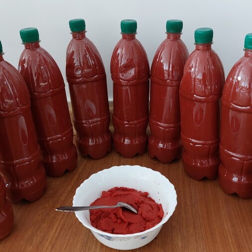 رب خانگی