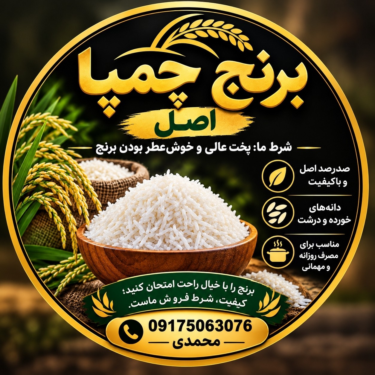 برنج کامفیروزی اصل