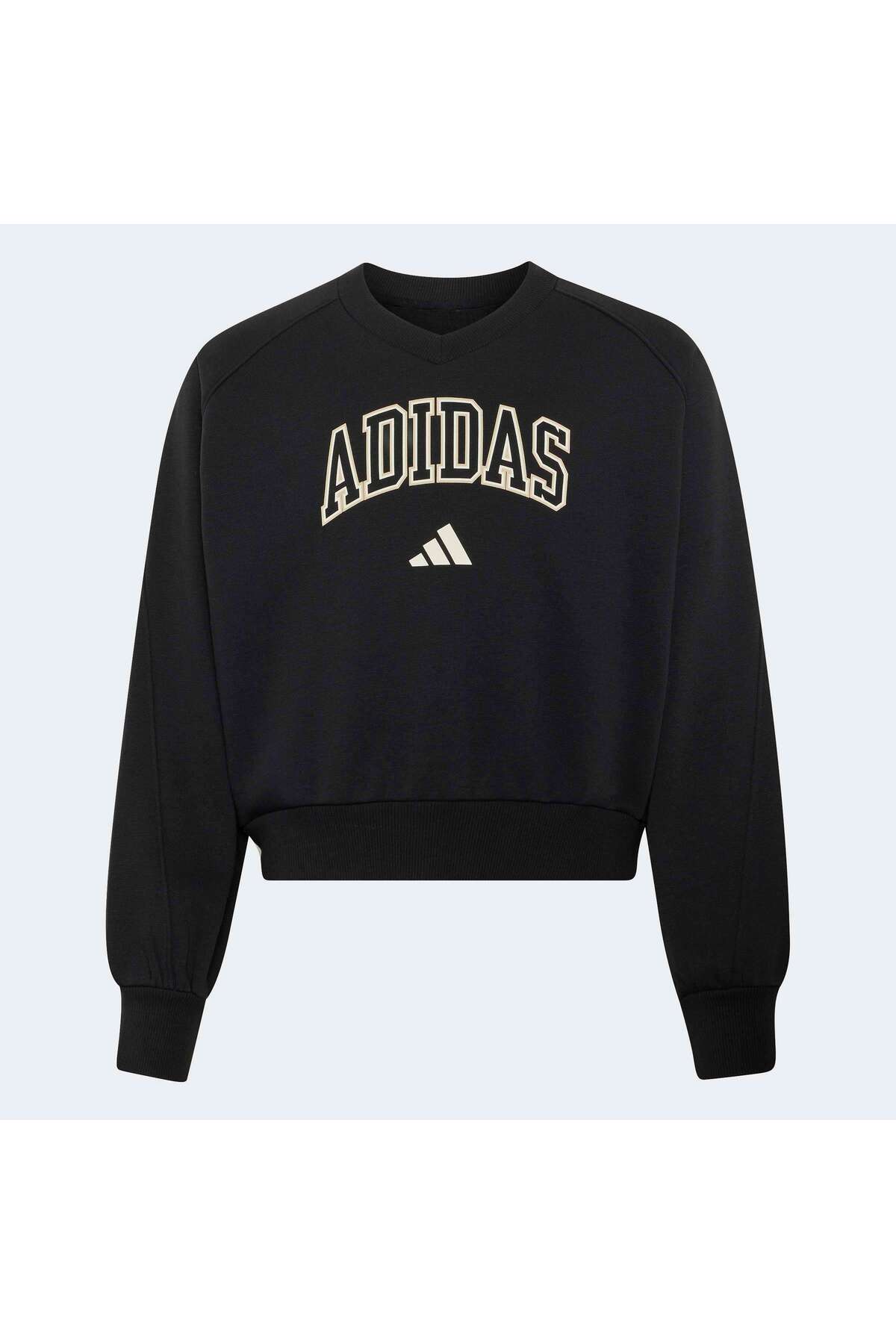 سویشرت زنانه آدیداس مدل adidas Outl Tref Hdy Unisex Gnlk Sweatshirt Iu2373 Siyahجدید