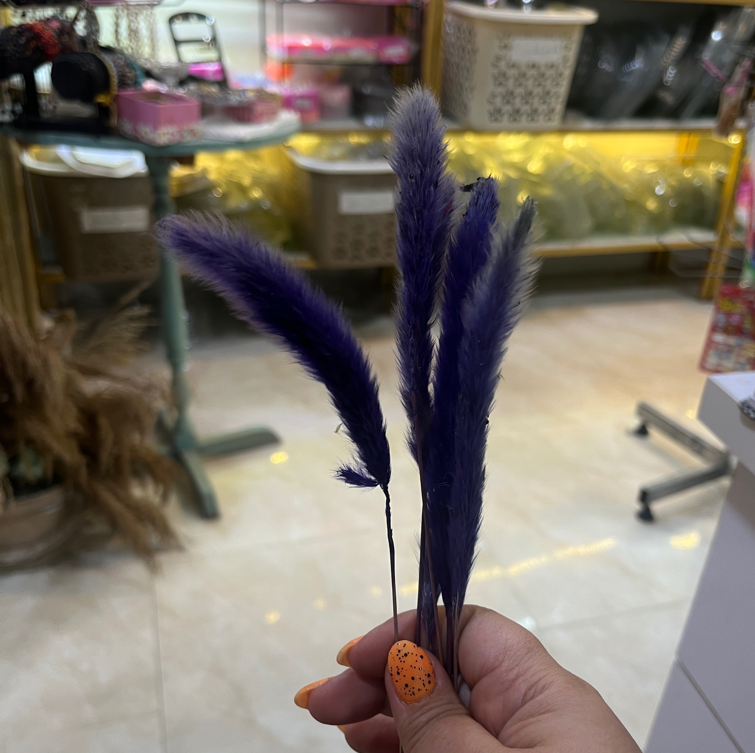 گل خشک دم روباه بنفش