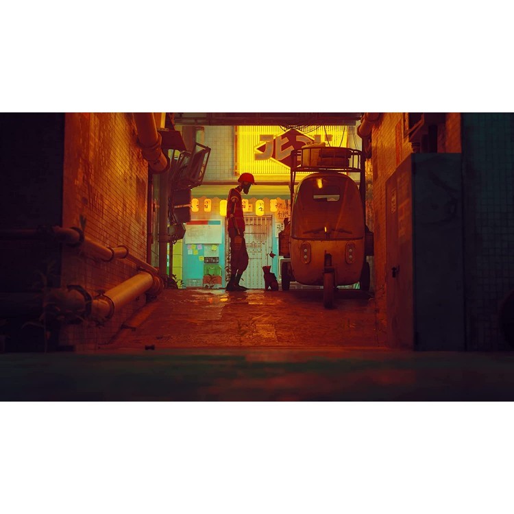 بازی Stray مخصوص Nintendo Switch اصلجدید