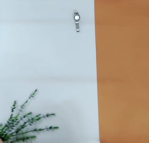 تیشرت مردانه و شلوارک ، ست دوتکه(تاپ شلوارک) ورزشی نایک ارسال رایگان، سایزبندی تا 2XL