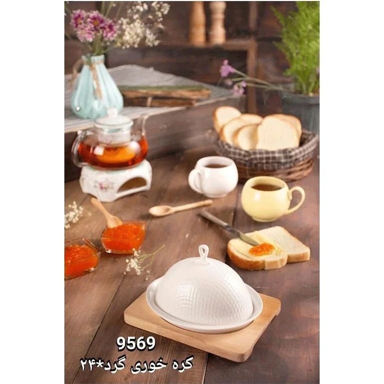 کره خوری بیضی 9569