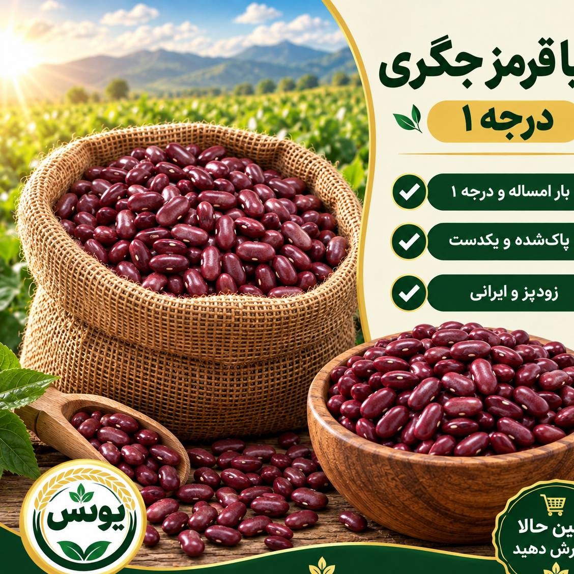 لوبیا قرمز جگری درجه 1 فوق اعلا (1 کیلویی)