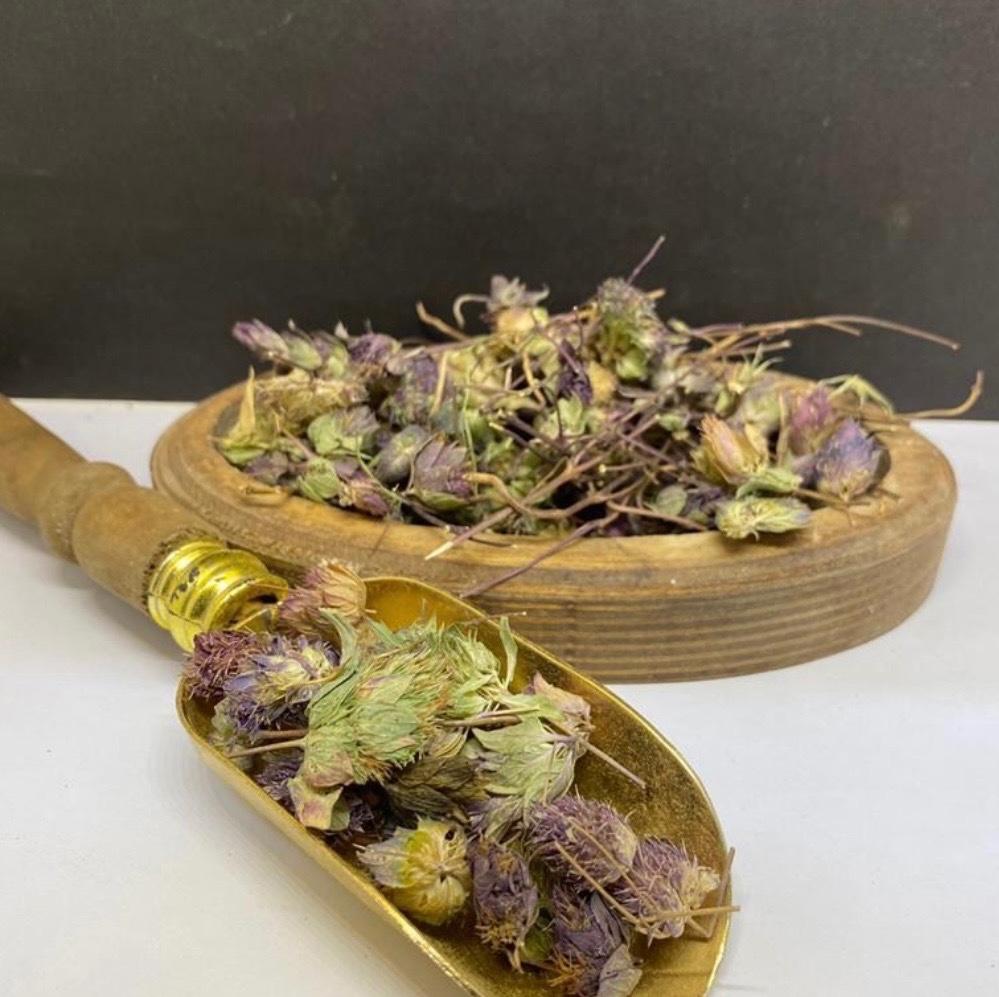 گیاه دارویی زوفا