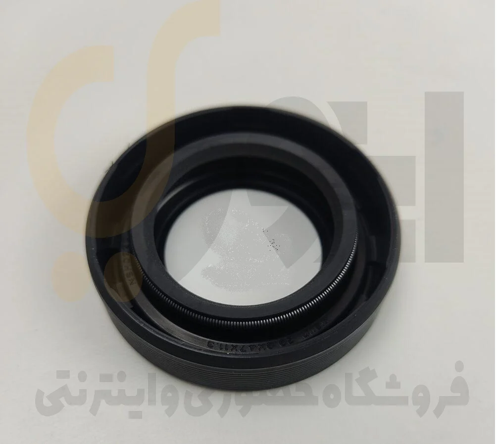 کاسه نمد پلوس کوچک (راست) 405-سمند-پارس - ISACO - ویژن