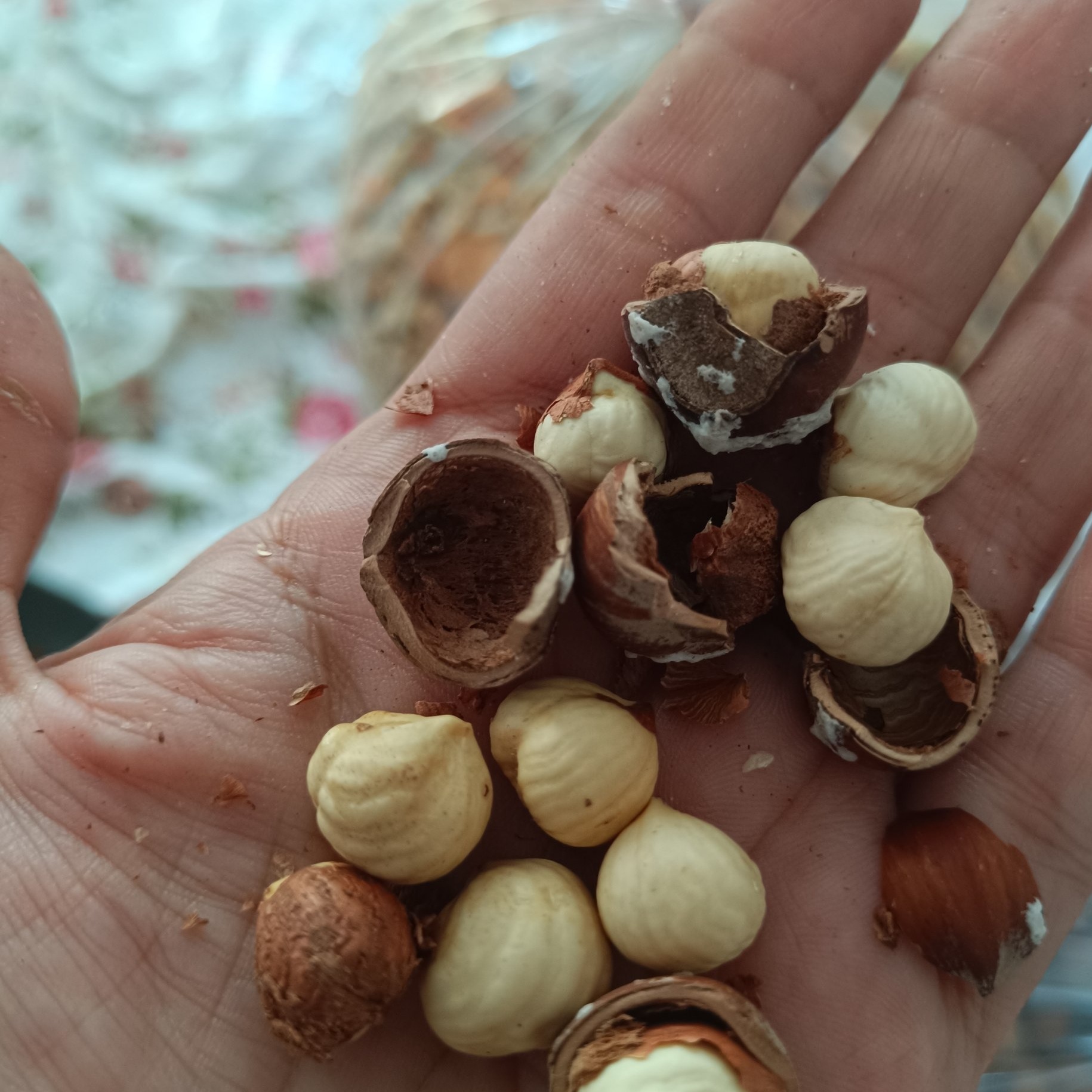 فندق بوداده نمکی