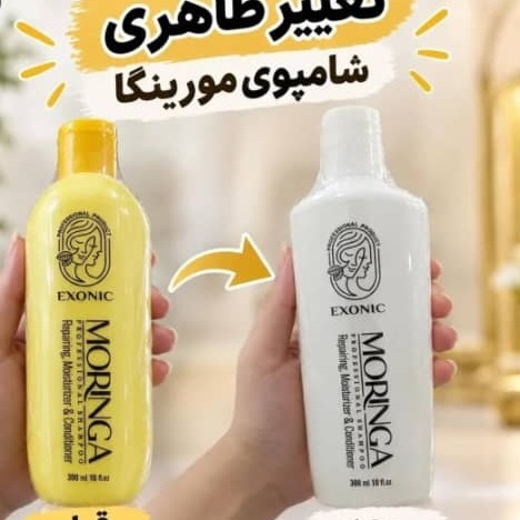 شامپو مورینگا اصل