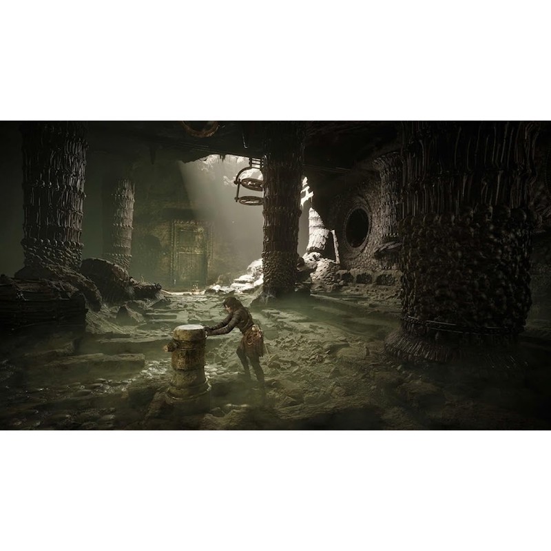 بازی Resonance A Plague Tale Legacy مخصوص PS5 اصل