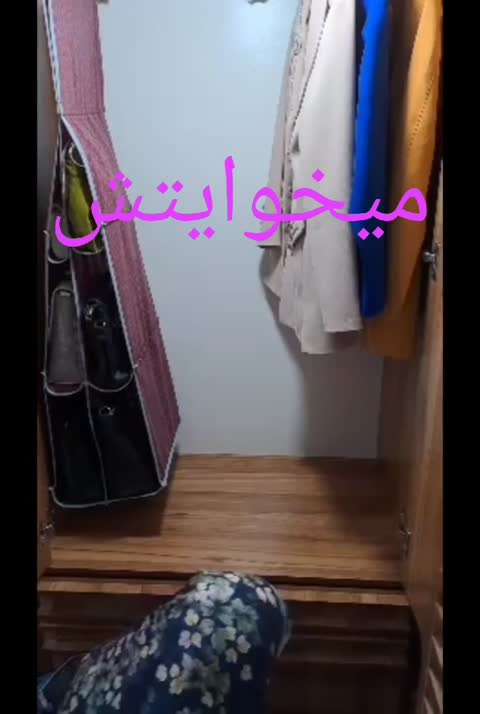نظم دهنده کیف و کفش رنگ قهوه ای