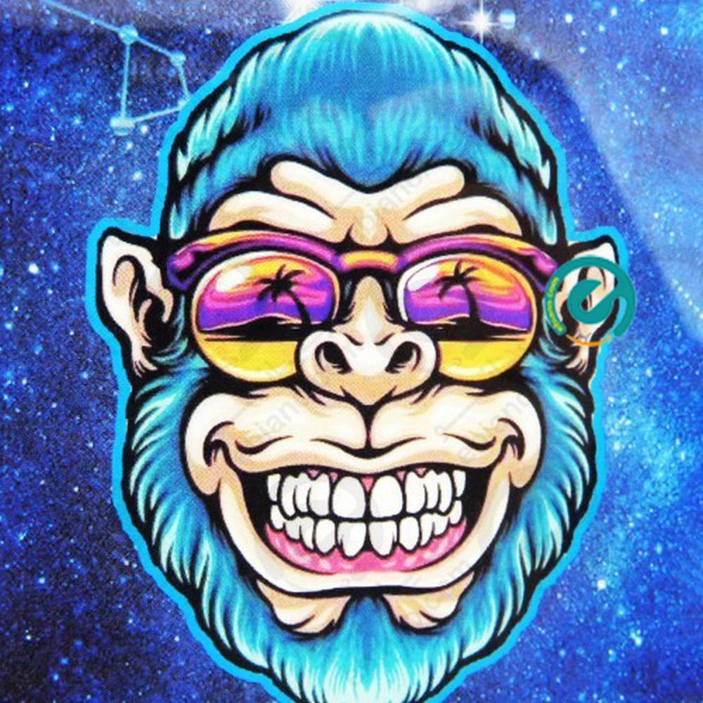 گلس شیشه ایی فول چسب مانکی داریا باند 2025 monkey