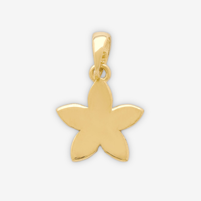 آویز گردنبند طلا 18 عیار زنانه مطیع ها طرح ستارهجدید