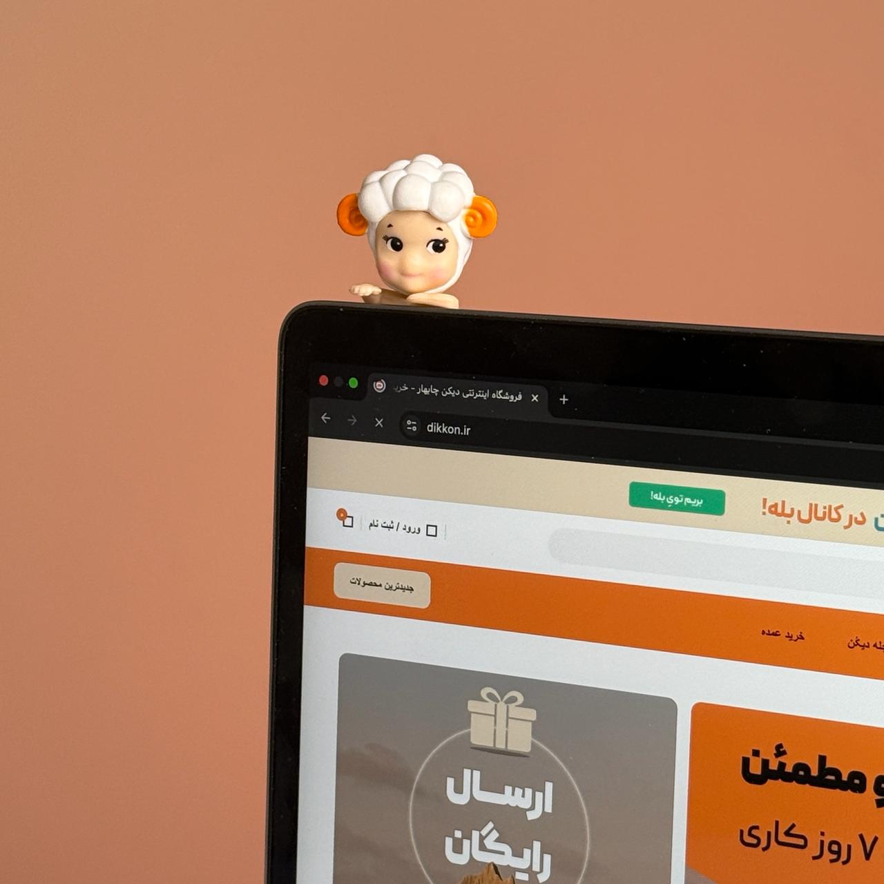 عروسک سوپرایزی هیپرز Sonny Angel - طرح سر حیوانات - خرید مستقیم از منطقه آزاد چابهار