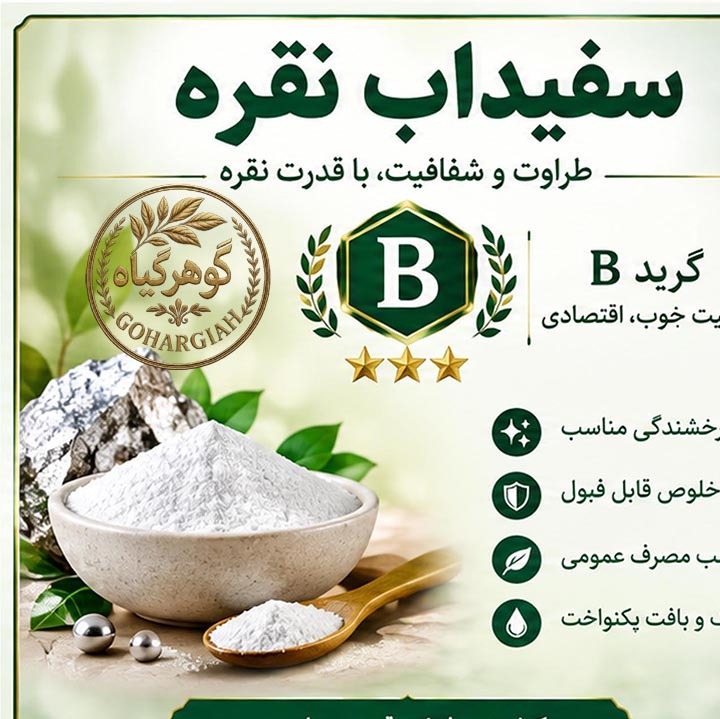 سفیداب نقره گرید بی - 10 گرمی (همراه با بروشور آموزش انواع ماسک)