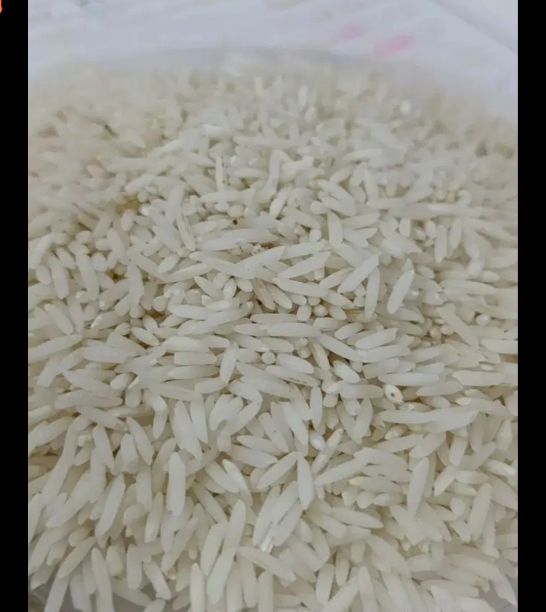 برنج دم سیاه گلستان اصلی ارسال رایگان مشهد